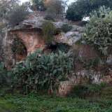 Torniamo su via Lame e proseguiamo fino all'incrocio con via Schiattona, approdando cos� in contrada Pozzo San Benedetto. Proprio l� vicino adocchiamo una grotta con due aperture, coperta da una rigogliosa pianta di fichi: � una delle tante cavit� della zona, probabilmente abitata sin dalla Preistoria